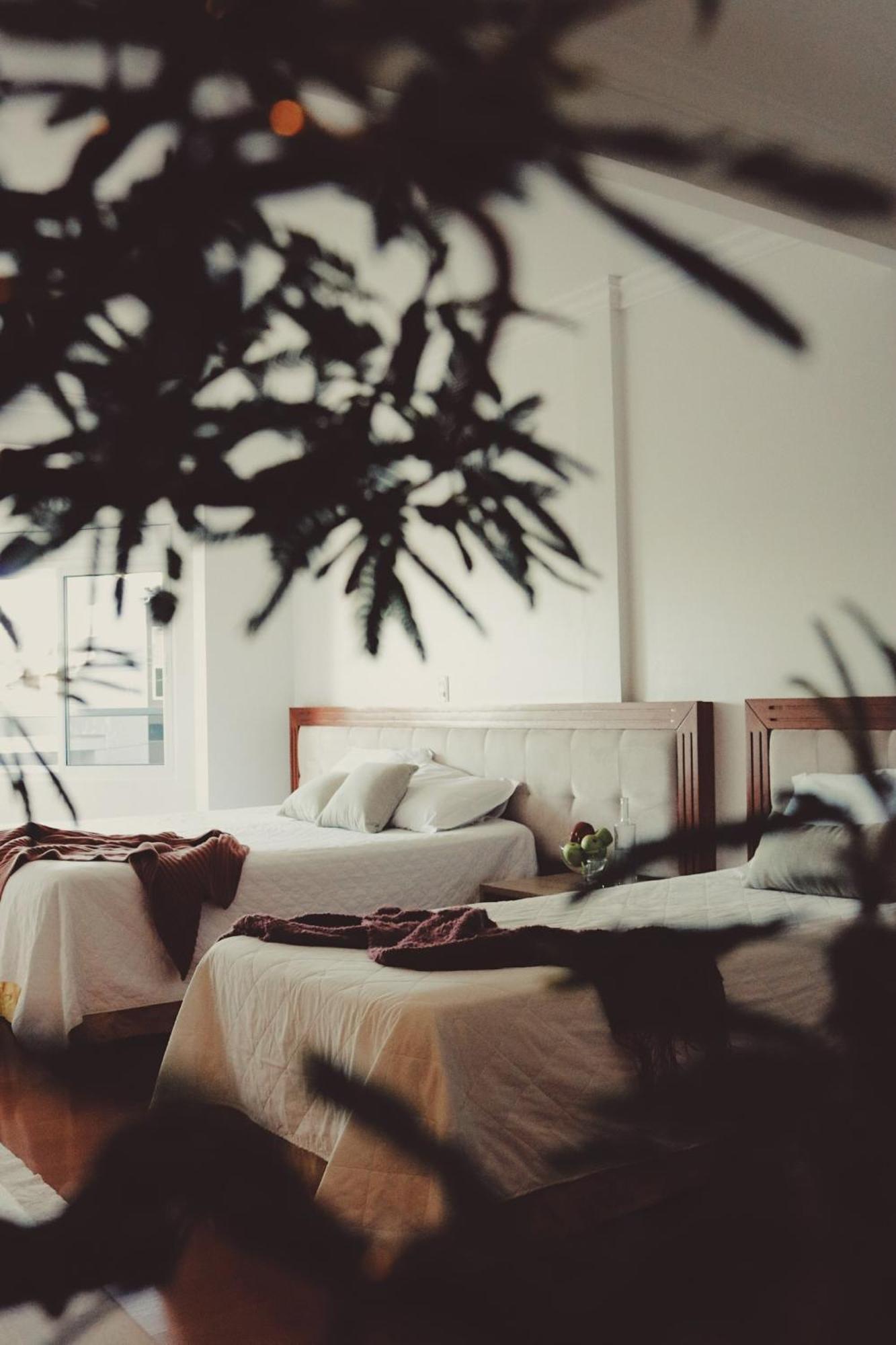 Hotel Solaris Sao Miguel d'Oeste エクステリア 写真